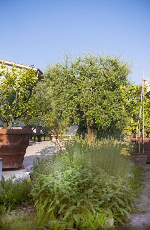 Dolce Sosta Otel Lucca Dış mekan fotoğraf